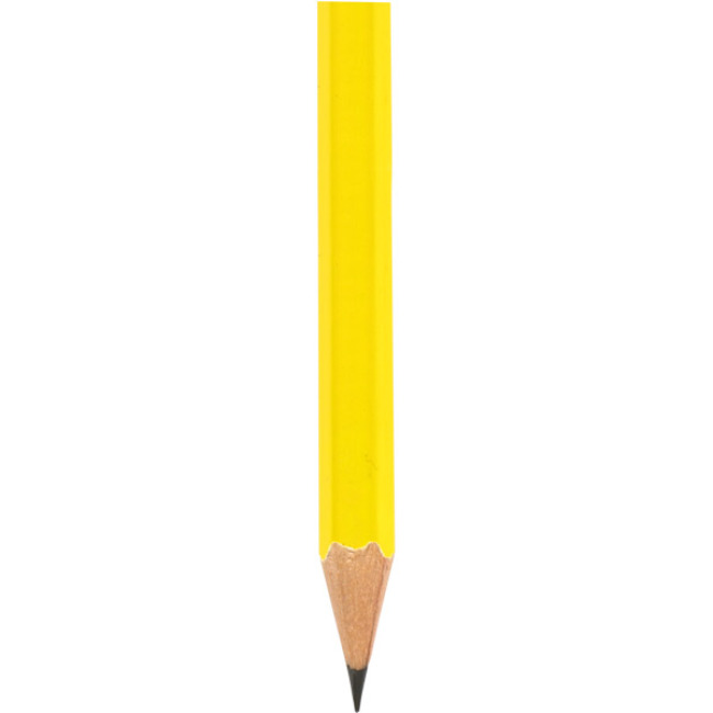 Text