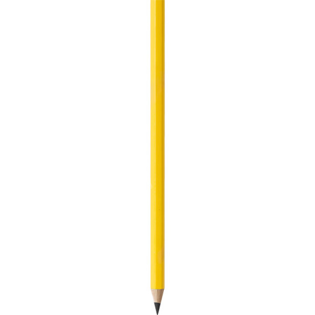 Text